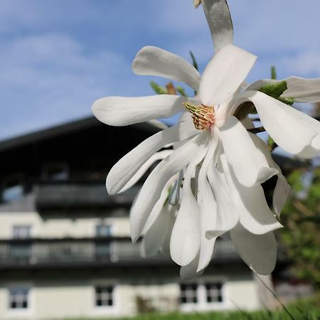 Haus Brandstatter Daire Eben Im Pongau Dış mekan fotoğraf